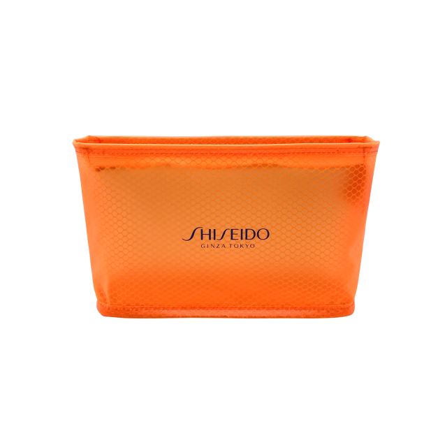 Clear Pouch With Mesh