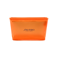 Clear Pouch With Mesh